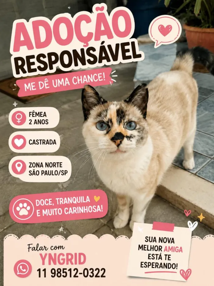 Gato raça SRD-ViraLata idade 2 anos nome Lua