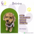 Belinha