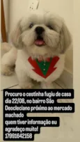 Cestinha
