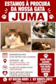 Juma