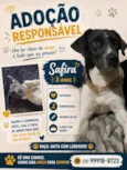 Safira