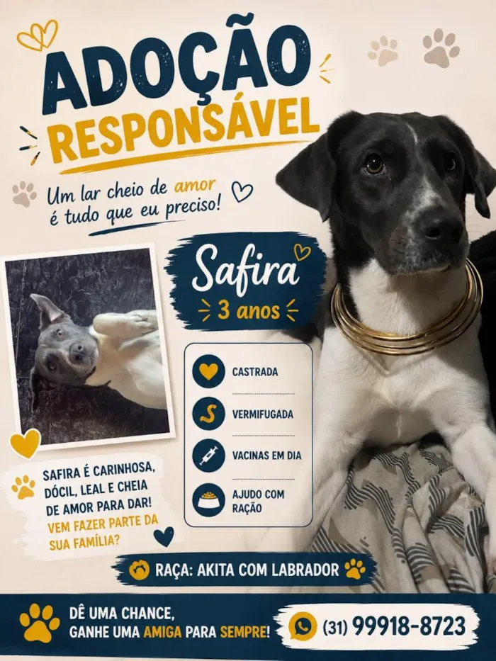 Cachorro raça SRD-ViraLata idade 3 anos nome Safira