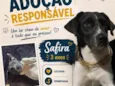 Safira