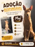 Meg