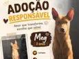 Meg