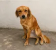 Sol