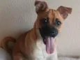 jully