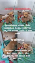 SEM NOME