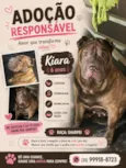 Kiara