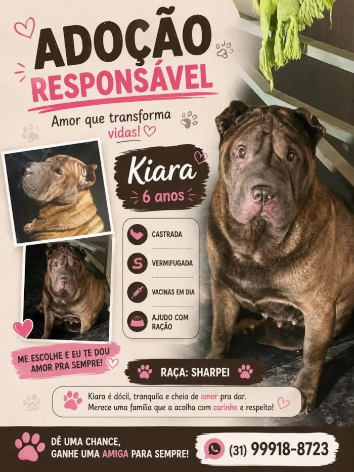 Cachorro raça SRD-ViraLata idade 6 ou mais anos nome Kiara