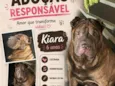 Kiara