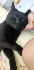 Théo 