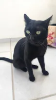 Théo 