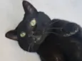 Théo 