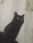 Não tem.