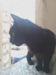 Não tem.