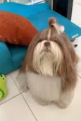 Eumira