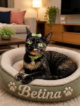 Betina 