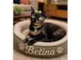 Betina 