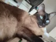 Chloe