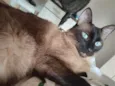 Chloe