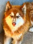 Ralf