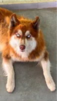 Ralf