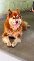Ralf