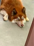 Ralf