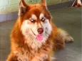 Ralf