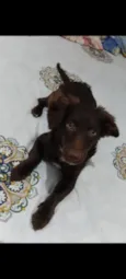 Mel