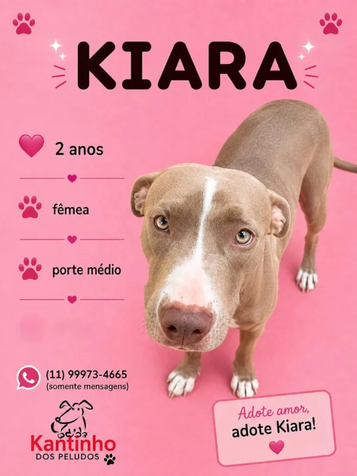 Cachorro raça SRD-ViraLata idade 2 anos nome Kiara