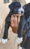 Tóquio 