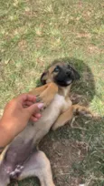 Lili