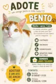 Bento