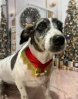 Maggie