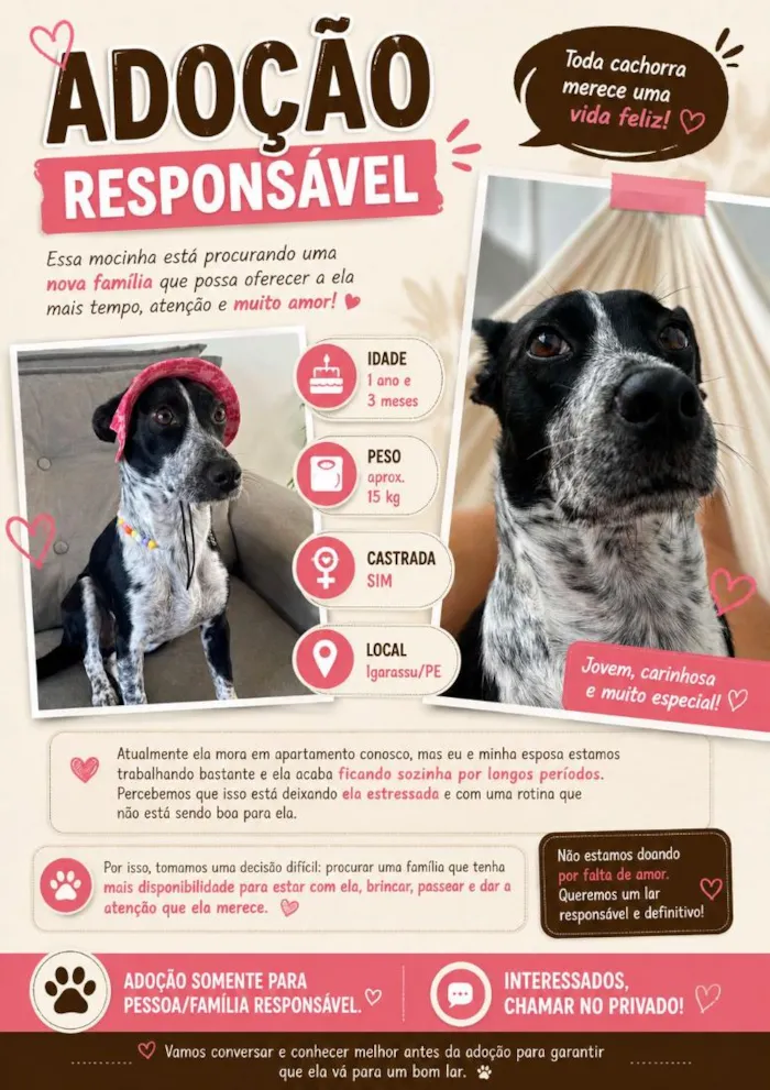 Cachorro raça SRD-ViraLata idade 1 ano nome Estrela