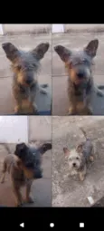 Kiko