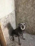 Billy