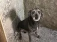 Billy