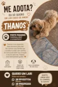 Thanos