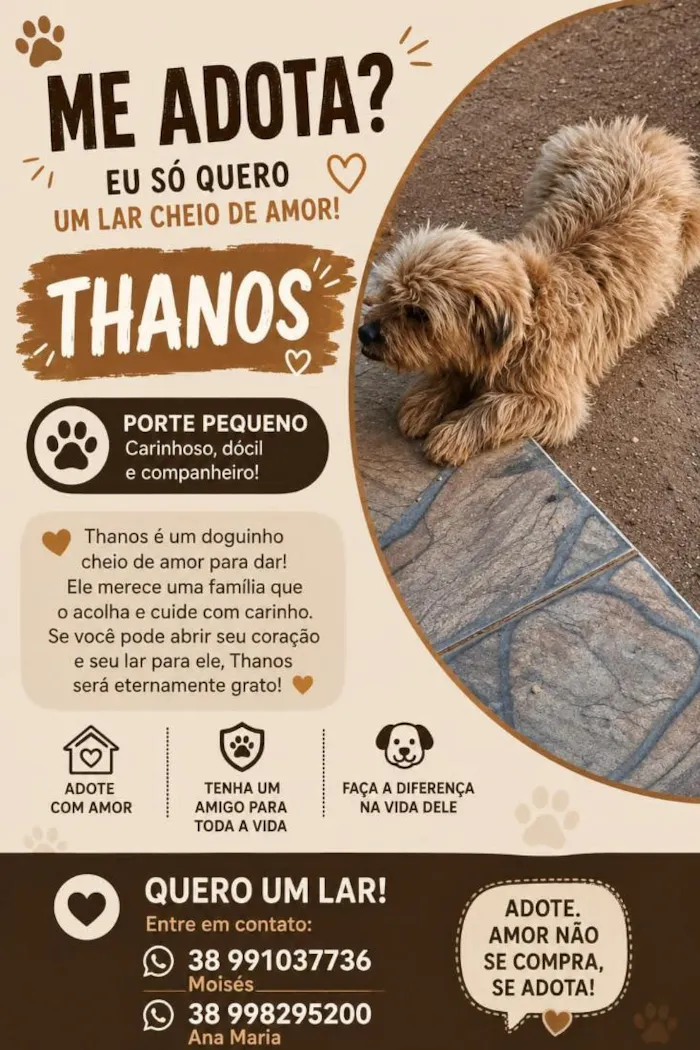 Cachorro raça SRD-ViraLata idade 2 anos nome Thanos