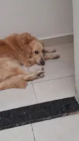 Lola 
