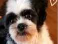 Bob