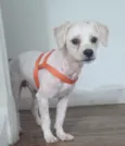 SPIKE 