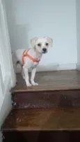 SPIKE 