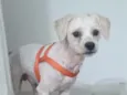 SPIKE 