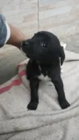 Bob