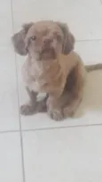 Patrik