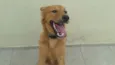 Bob
